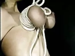 Panter ve siyah kedi porno film sahin k